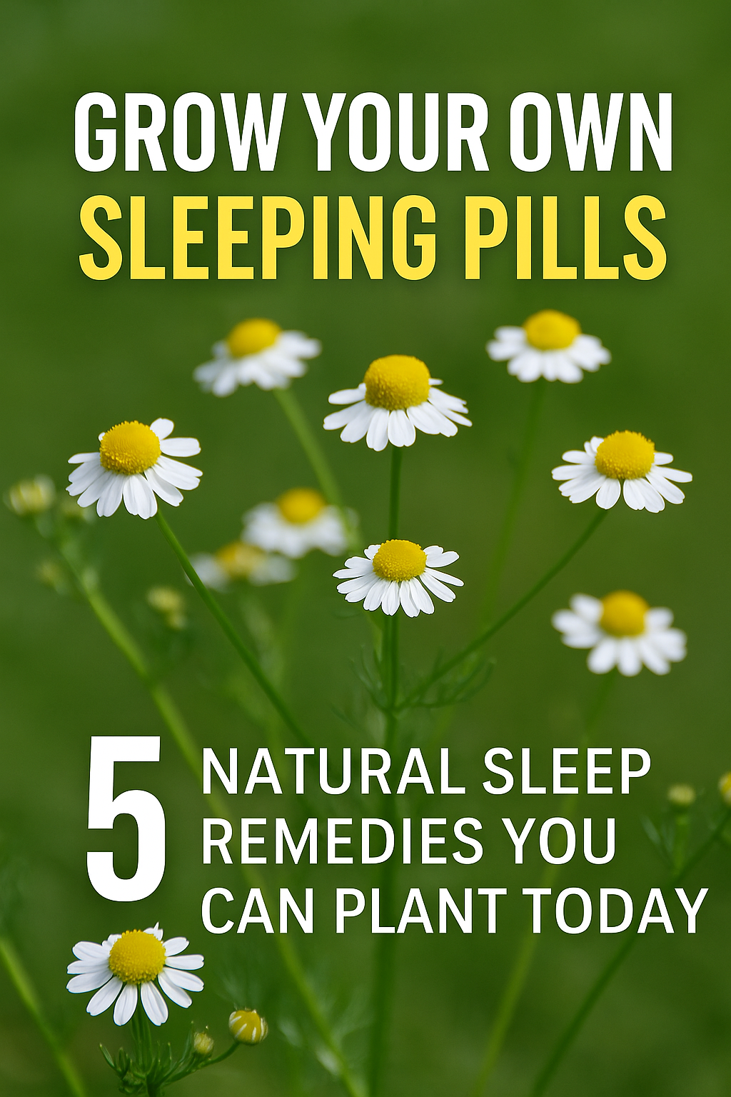 Grow Your Own Sleeping Pills
